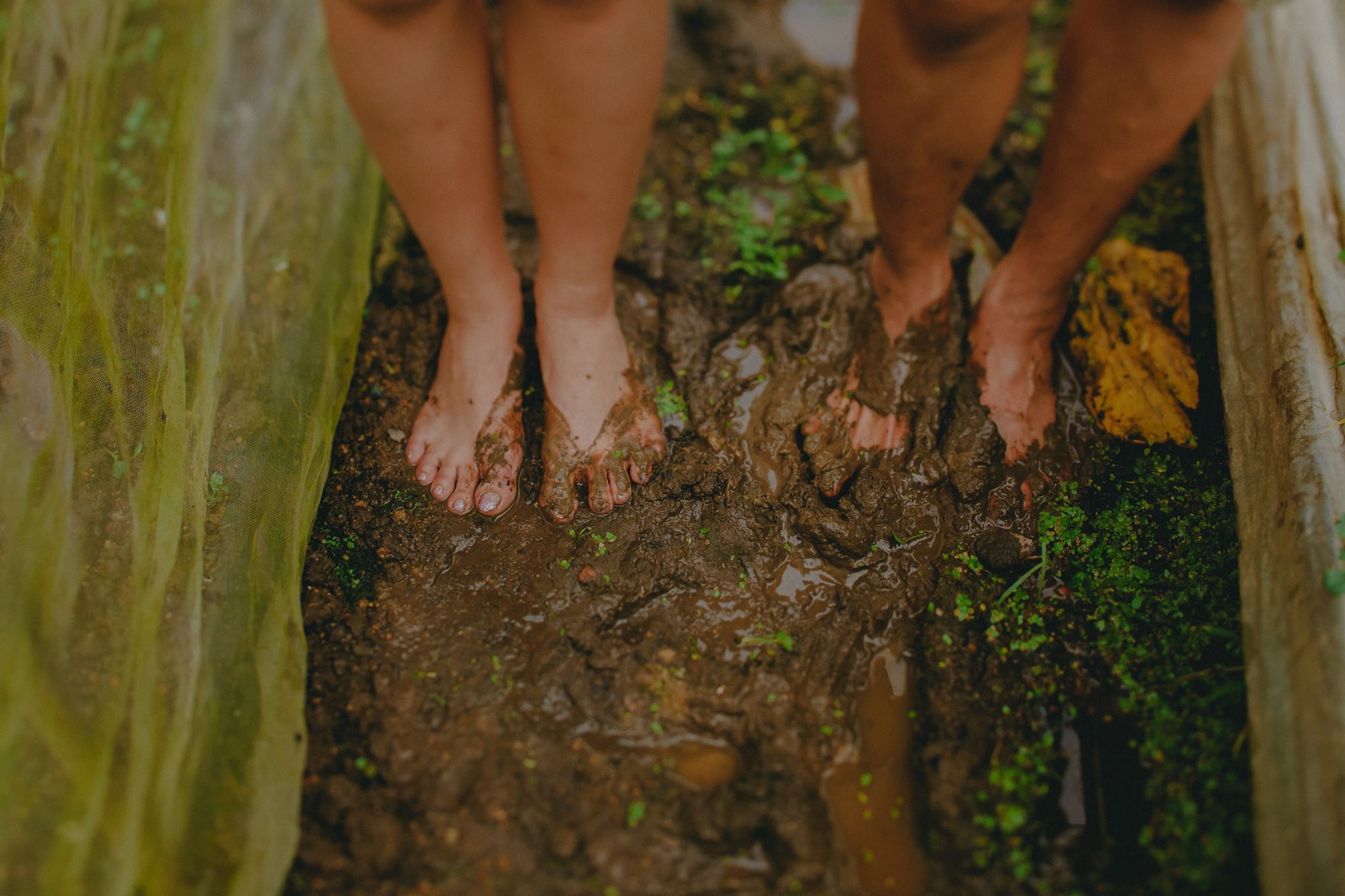 singapore_prewedding_photography_farm_hidden_gem