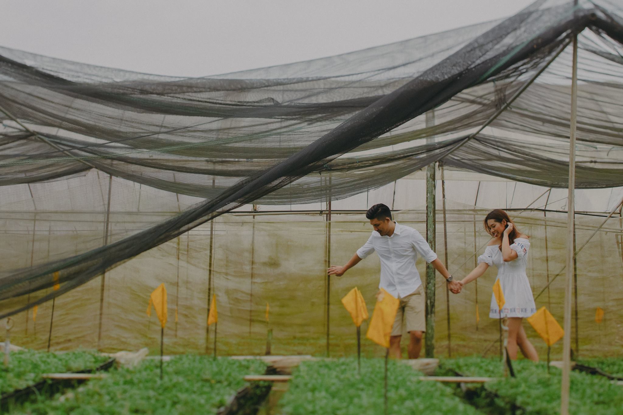singapore_prewedding_photography_farm_hidden_gem